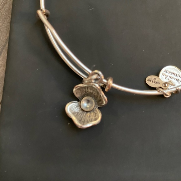 Alex and Ani Bracelet - Picture 4 of 4